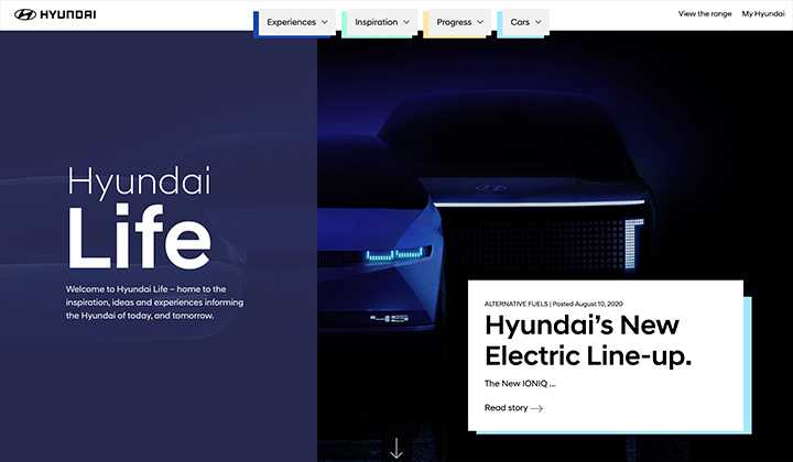 Hyundai life project